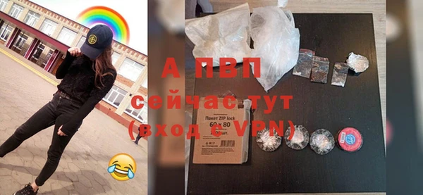 СК Абинск