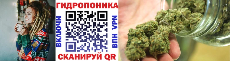 Каннабис SATIVA & INDICA  Курчатов 